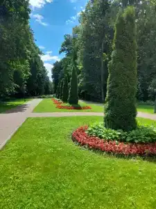 Пестово - 13