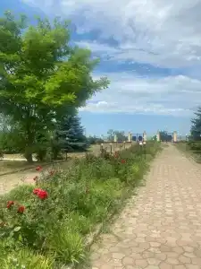 Виста - 25