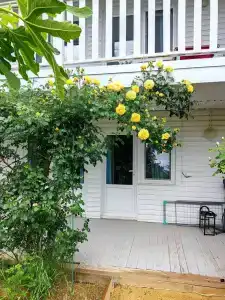 Куклиных - 10