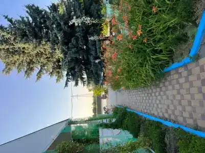 Казачка - 33