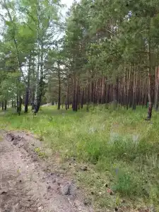 Сила озер - 17