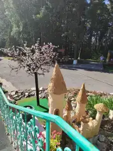 Анжерский - 48