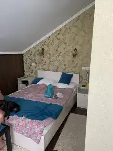 Медведев лес - 16