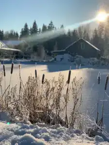 Березовка - 82