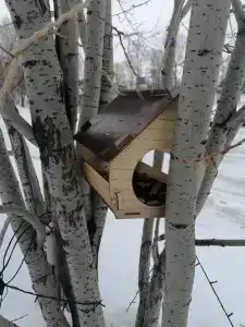 Гольфстрим - 97