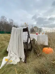 12 Дубов - 20
