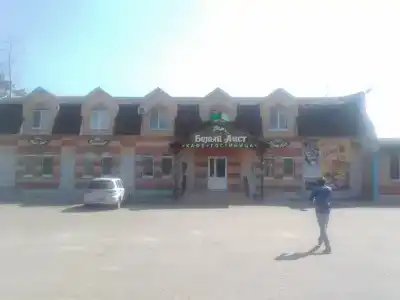 Белый аист - 3
