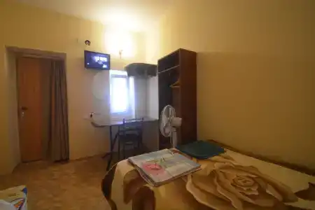 Аист - 13