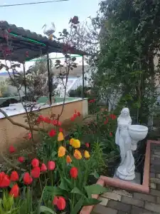 Райский Берег - 37