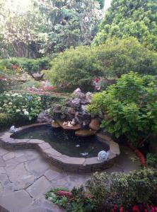 Пальмира - 24