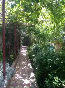 Пальмира - 22