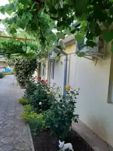 Бриз - 5