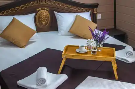 Власовых - 2