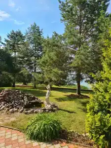 Снегири - 8
