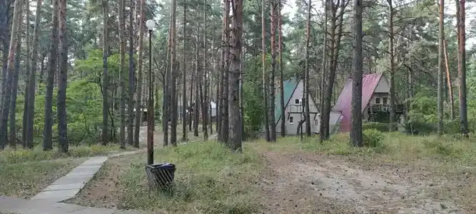 Сосновый бор - 43