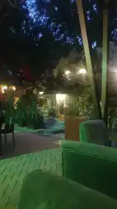 Золотая вилка - 28