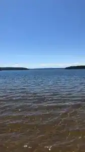 Цска - 10