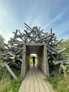 ЯсноПоле - 16