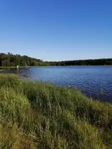 Морошка Эко Вилладж - 30
