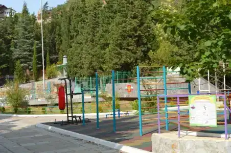 Кипарис - 14