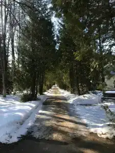 Чайковский - 46