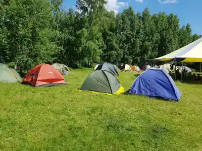Поляна - 3