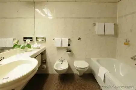 Maritim Königswinter - 48