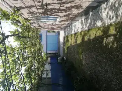 Амурчанка - 10