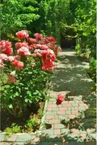 Памир - 4