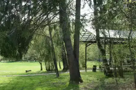 Беликово - 31
