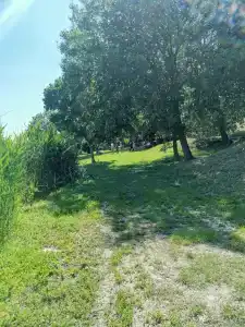 Liva Villa - 39