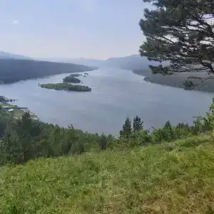 Дивные Хаски - 5
