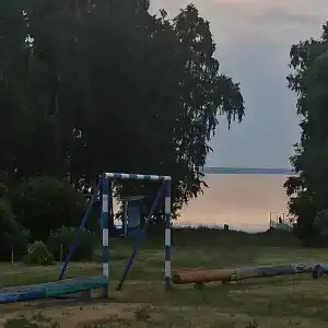 Сосны - 39