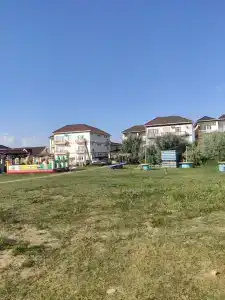 Верес - 35