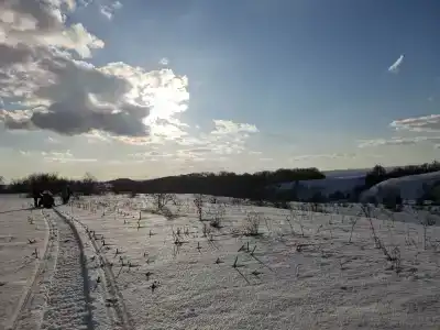 Кармалинская поляна - 1