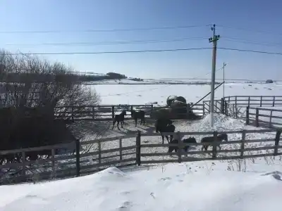 Удача - 29