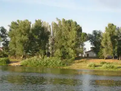 Левада - 96