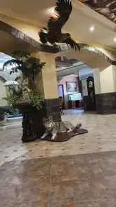 Гостиный Дом - 56