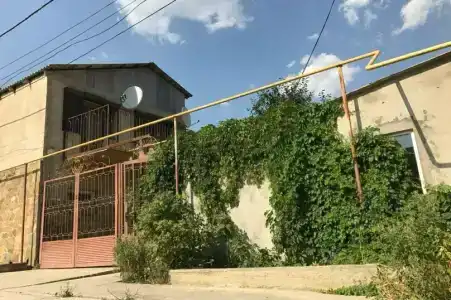 Лев на солнце - 7