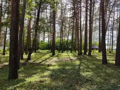 Колос - 0