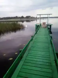 Шалом - 19