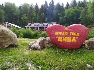 Цица - 1