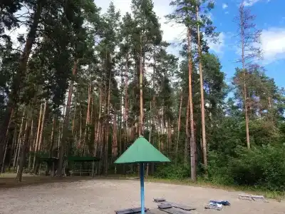Сура - 45