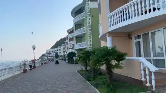 Алустон - 65