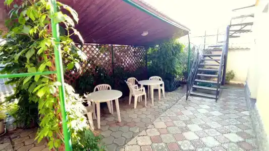 Green Patio - 1