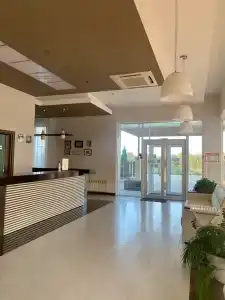 Чижик - 2