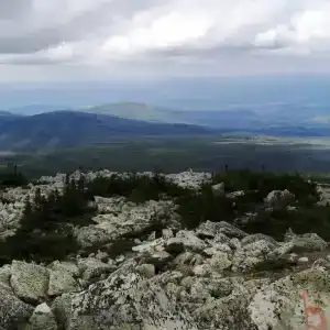Приют Центральная усадьба - 4