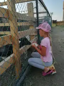 Гуселетовские плесы - 86