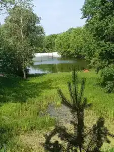 Чардым-Дубрава - 14