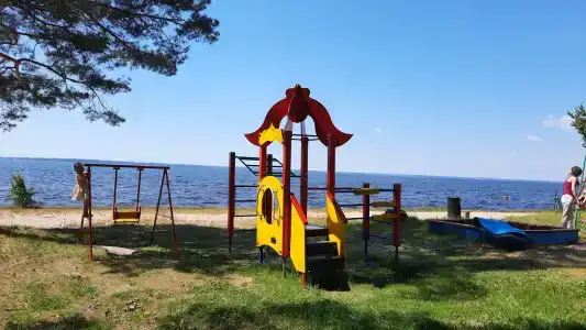 Чайка - 12